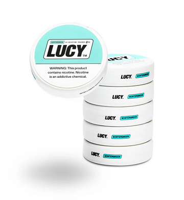 LUCY POUCHES - Wintergreen - 6-Pack | Pouch Buzz