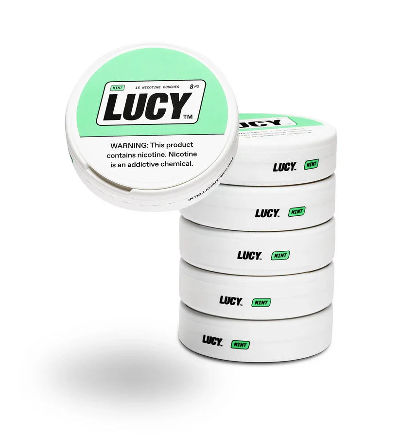 LUCY POUCHES - Mint - 6-Pack | Pouch Buzz